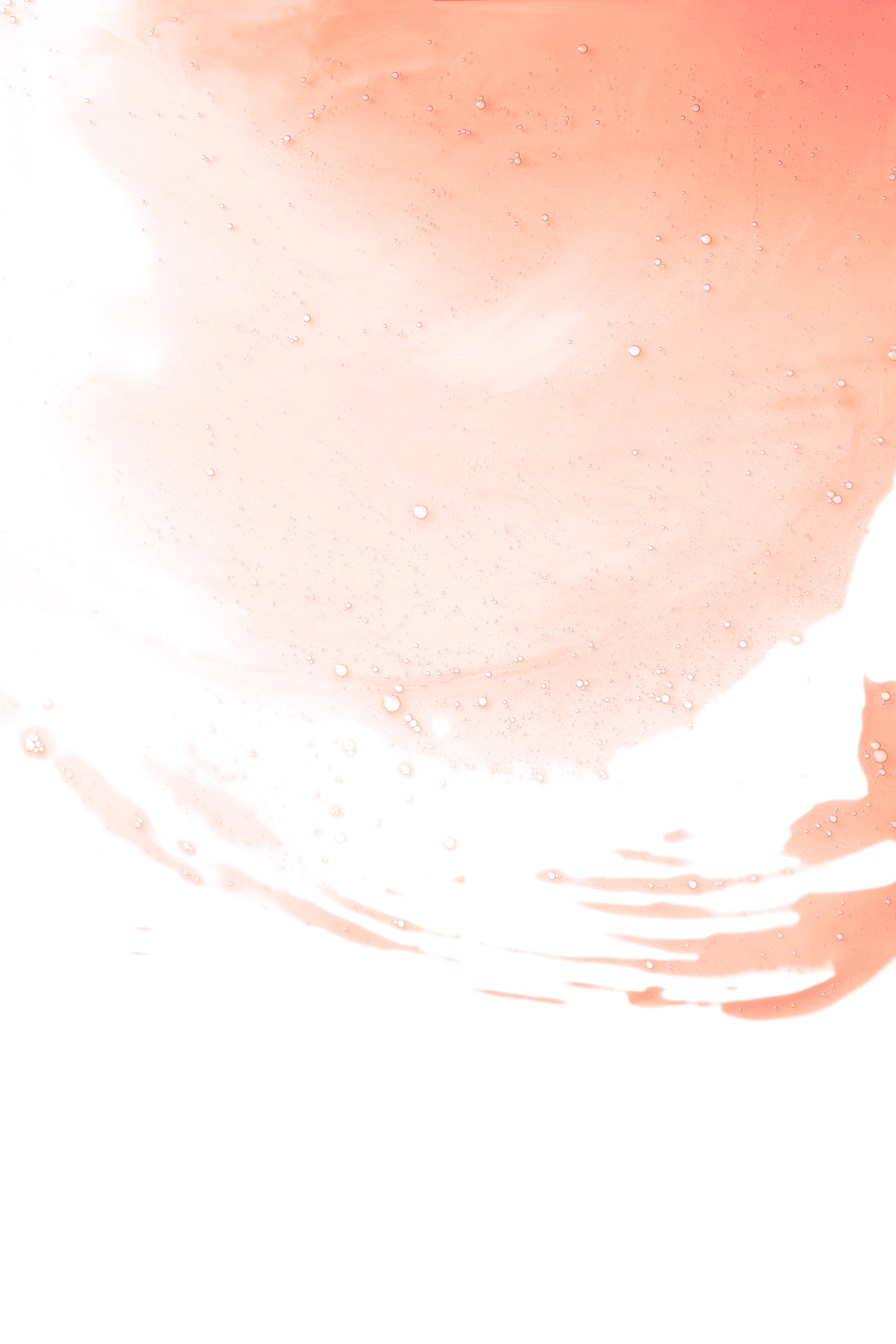 Luminous Rose